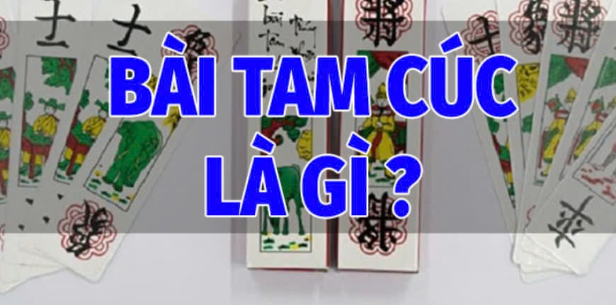 Bài Tam Cúc Pg88  Là Gì?